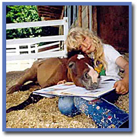 Ballachurry Equestrian Centre Isle of Man @ roycottage Self catering holiday cottage
